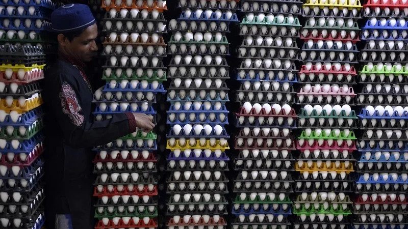 Rising egg prices burn holes in consumers’ pockets