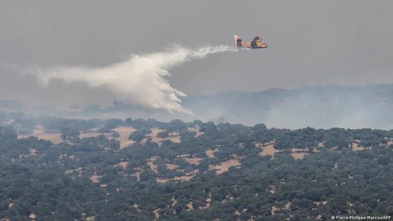 Europe wildfires: Many flee by boat as fires spread, merge