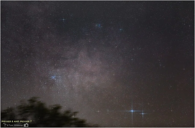 M6 and M7: Open star clusters in the Scorpion’s Tail