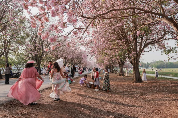 Ministry seeks B2.45bn for tourism