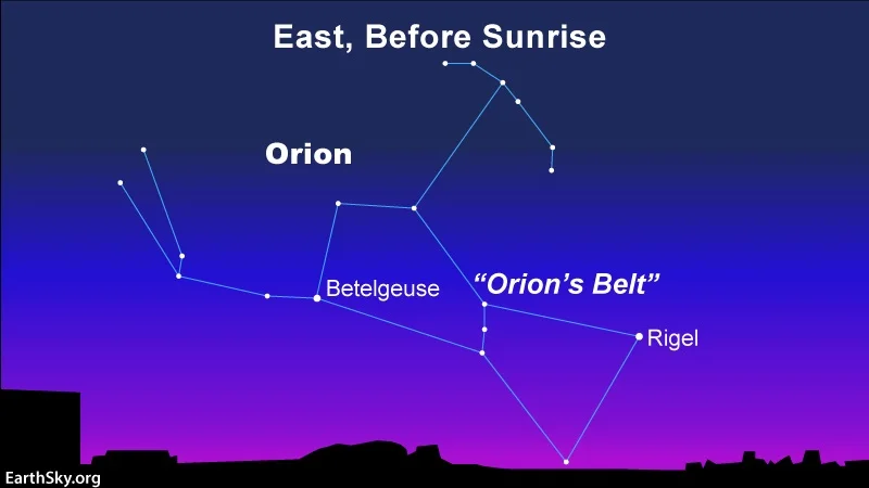 Return of Orion the Hunter, ghost of the summer dawn