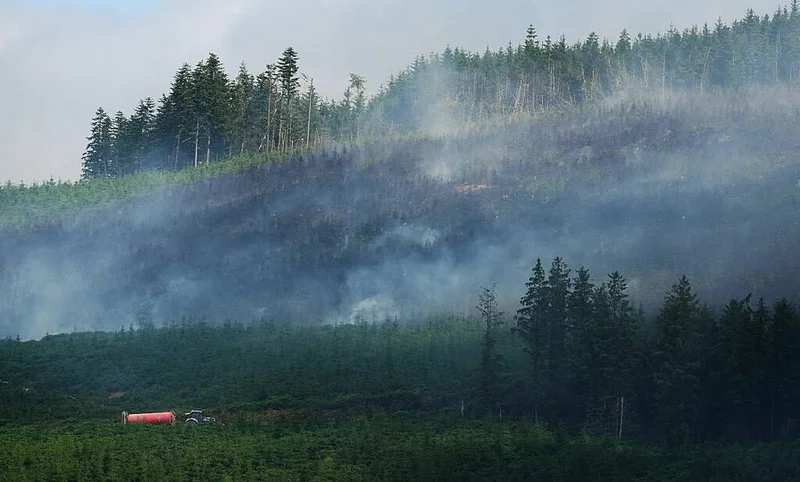 Ireland’s wildfire laws outdated says ecologist as Slievenamon fire reignites