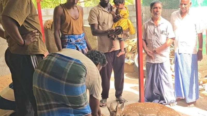 Residents rescue spotted deer near Vaniyambadi