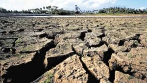 Dy urges shift from reactive to proactive response to El Niño