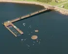 Australia news live: new Sydney Harbour pool slated to open in summer; AusAlert warning test to blare siren across phones nationally this afternoon