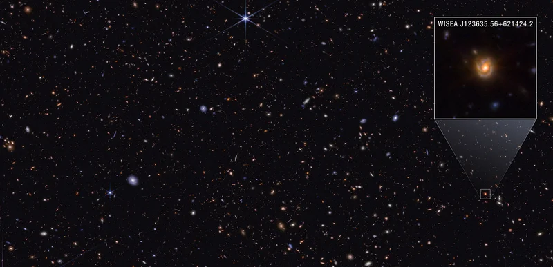 NASA Webb Explores Family Tree of Newly Discovered Distant Objects