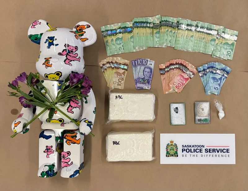 Cocaine, collectible bear seized in Saskatoon drug bust