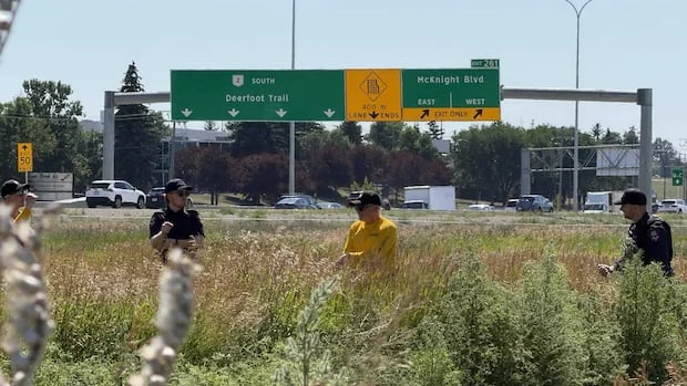 Police search additional area for missing Calgary boy as possible new evidence emerges