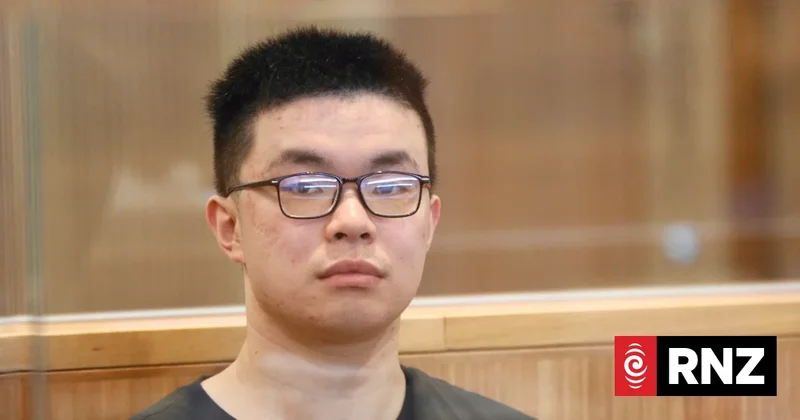 Auckland school threat trial: Police detail discovery of guns, ammunition and firearm plans linked to Tiedan Huo