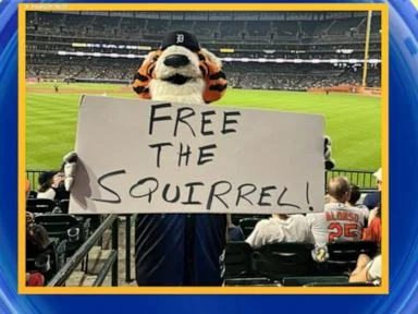 WATCH:  Squirrel runs onto field during MLB game