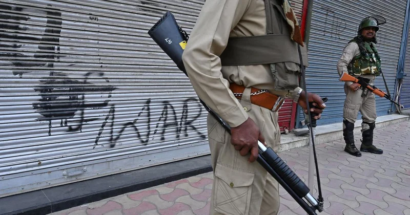 Two injured in pellet firing move SC seeking ban on metallic projectile guns against civilians
