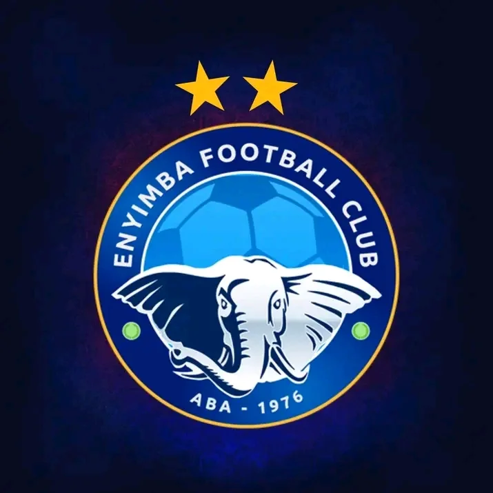 Enyimba appoint new technical crew for youth team