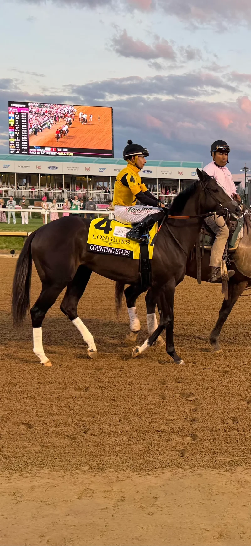 Counting Stars Shines In Run Towards Breeders Cup And Year End Honors