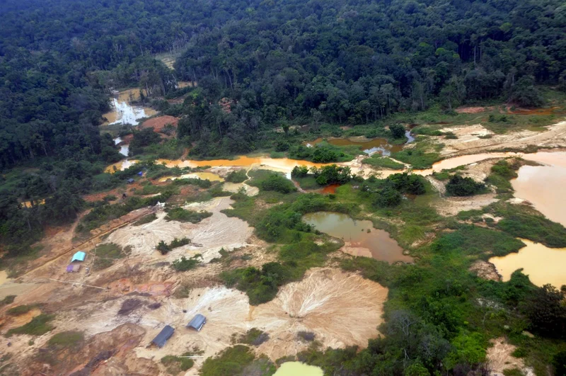 Guyana EITI Board Seat Boosts Oil Transparency Push