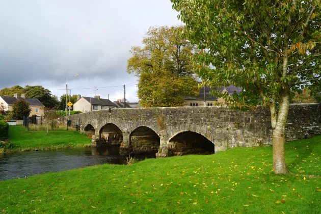 More than 4,500 fish found dead in major river kill in Co Cavan