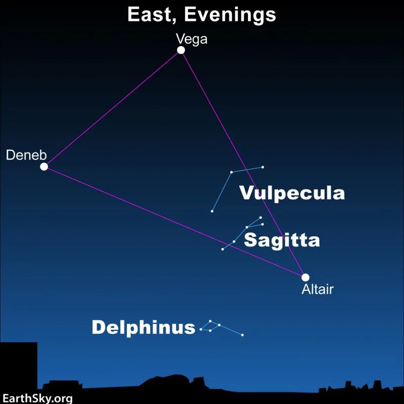 Vulpecula the Fox lies inside the Summer Triangle