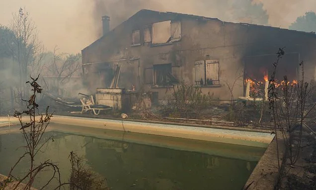 Multi-million pound holiday homes go up in flames as tourists flee down single road off 'French Hamptons' peninsula as Macron pleads for help to tackle 'monster' fire