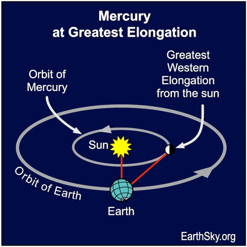 Look for Mercury farthest from the morning sun on August 2