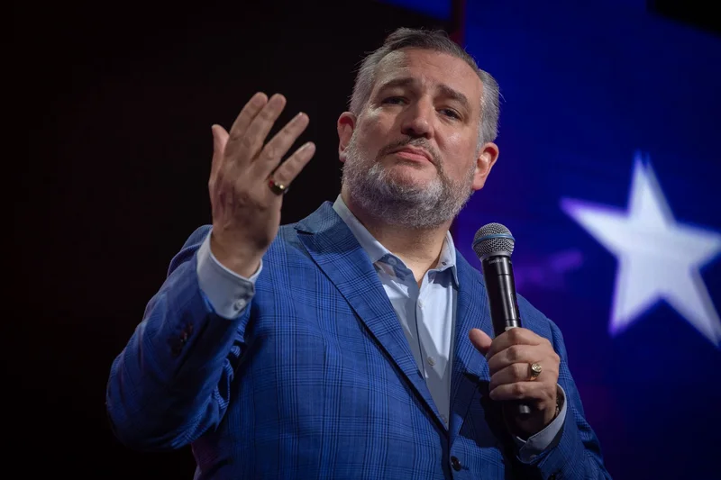 Tinubu busy paying American lobbyists – US lawmaker, Ted Cruz claims