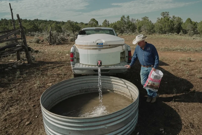As extreme heat grips the South and West, here's how to stay safe