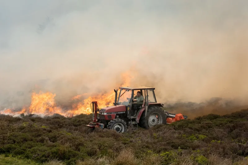 Mapped: Where droughts have been declared in the UK after record-breaking heatwaves