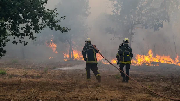 Fast-moving wildfires displace thousands in France, including wine capital of Bordeaux, and Spain