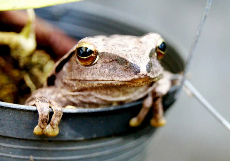 Looks like JFrog's 0-days let OpenAI's models hack Hugging Face