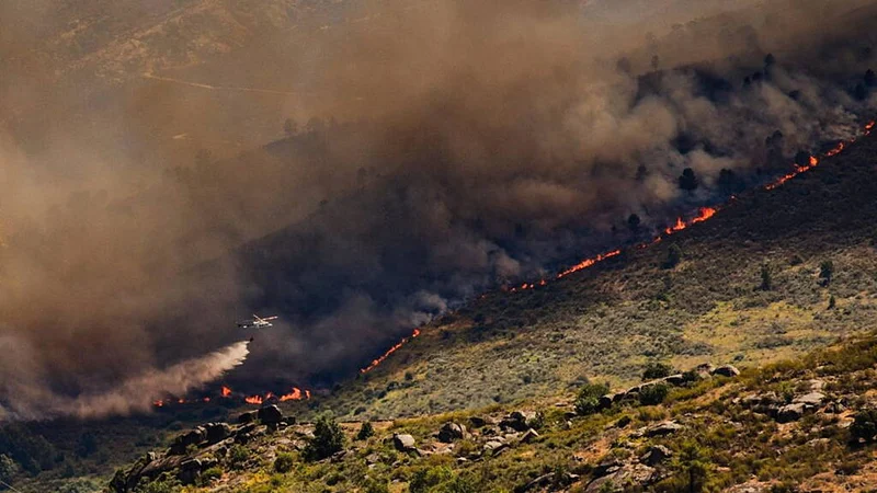 Tens of thousands evacuated as wildfires hit Spain and southern France