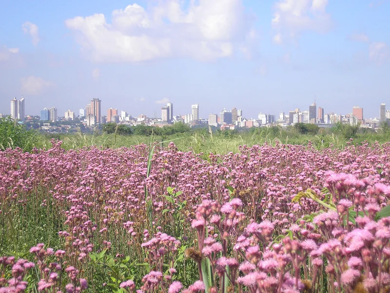 Brazilians Are Moving to Paraguay for Work, Fueling a Luxury Property Boom