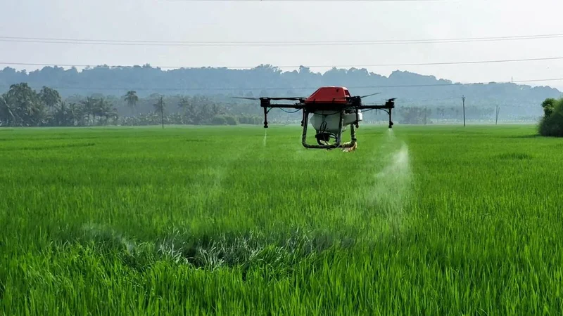Kerala Agricultural University launches entrepreneurship programme, releases startup grants