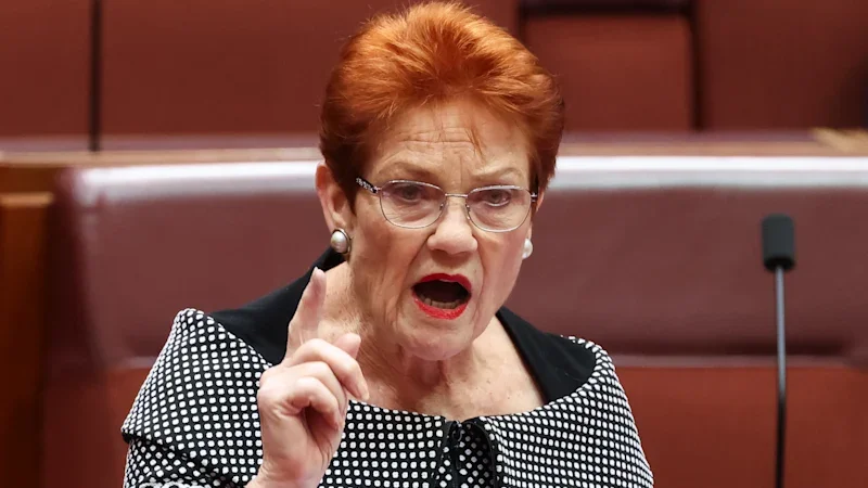 Top law expert points out glaring problem in Hanson’s ‘high-court proof’ terror law