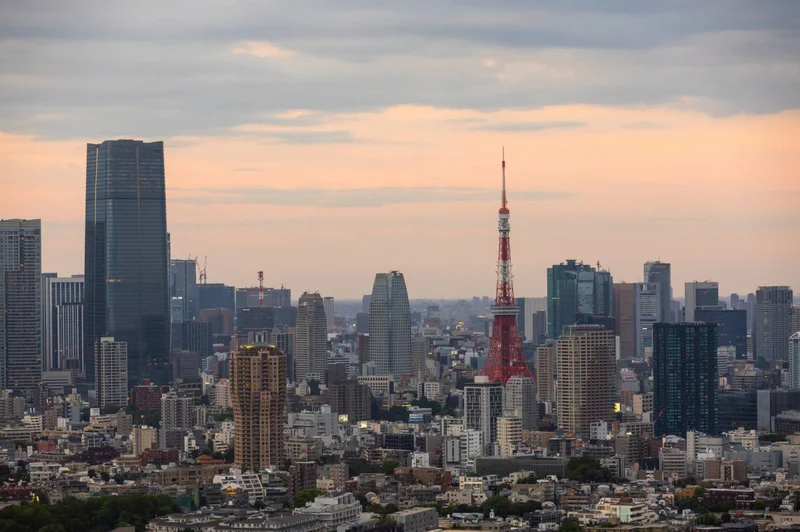 Single-premium whole life insurance rising in popularity in Japan