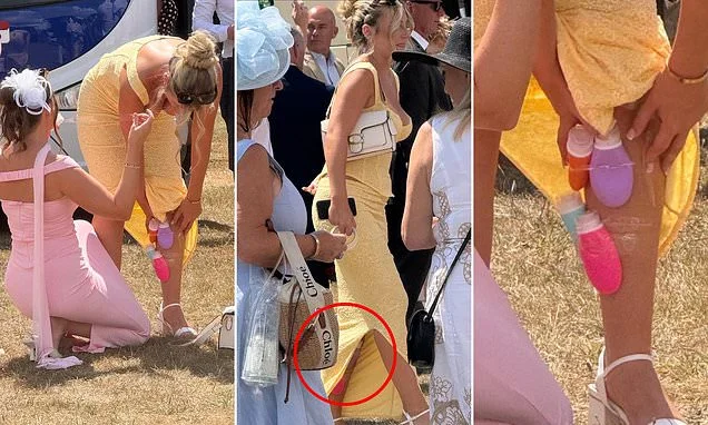 Goodwood revellers get creative as they smuggle mystery bottles into venue...where a small bottle of champagne costs £20