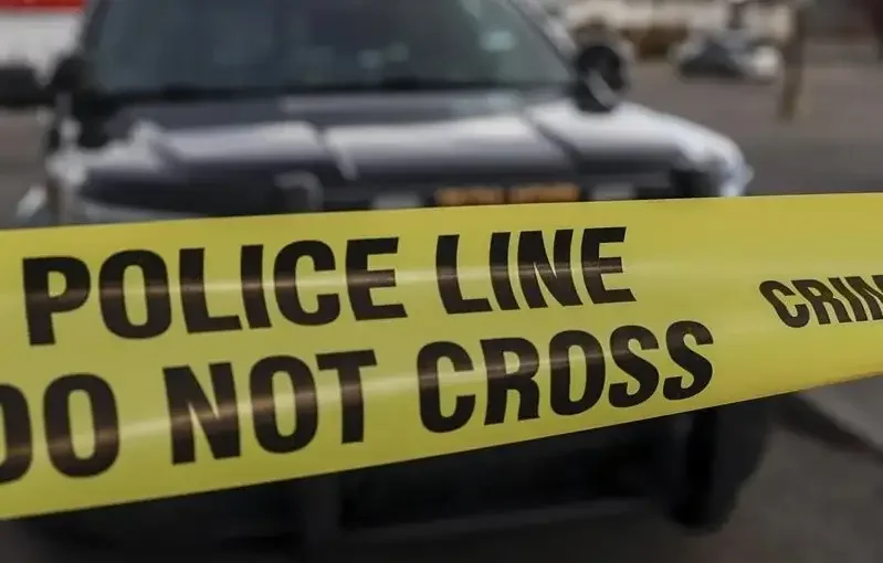 Calgary police homicide unit investigating after man killed in stabbing overnight