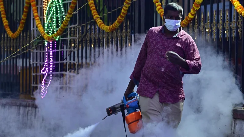 Why is India’s dengue virus mix becoming more dangerous? | Explained