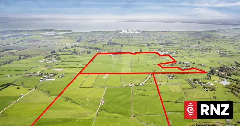 South Auckland cemetery plan to include natural burials alongside traditional options