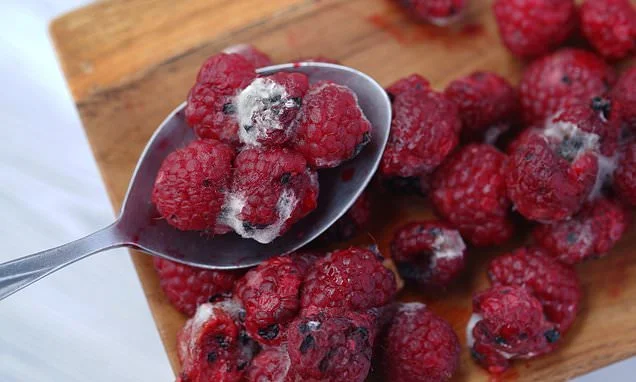Sick of rotten raspberries and mouldy mushrooms? Microbiologist reveals how to make your fruit and veg last as long as six WEEKS