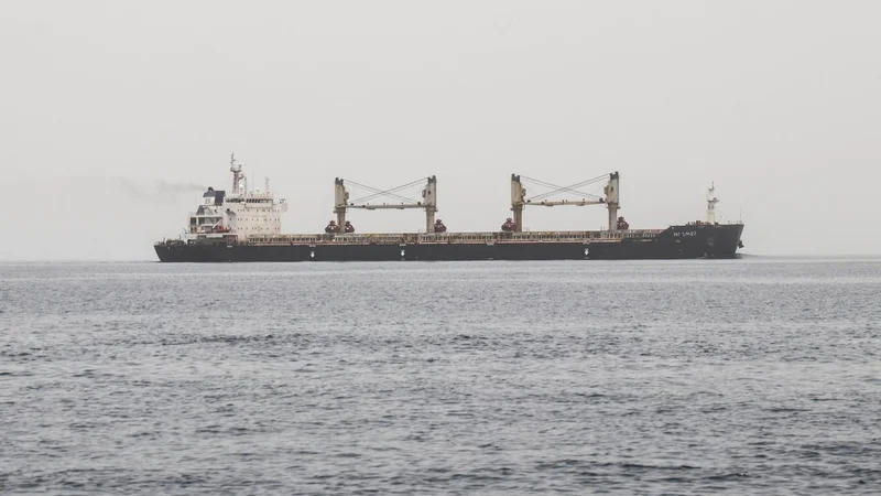 Yemen government says Houthis planning to impose fees for Red Sea transit