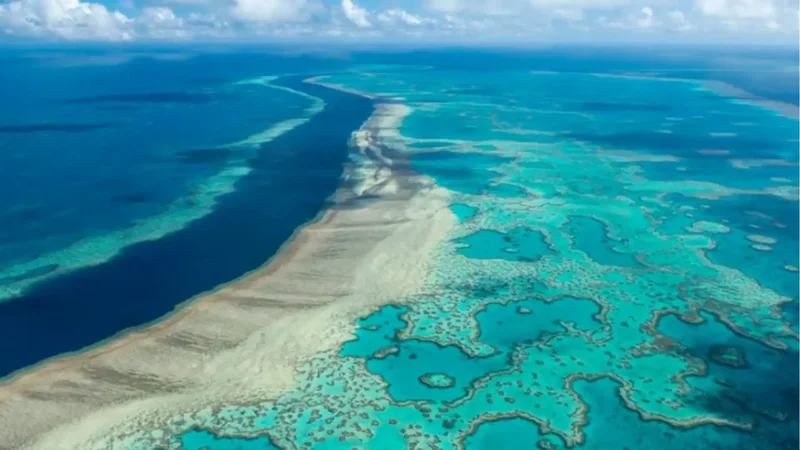 Great Barrier Reef waters reveal 500 new bacteria and 300,000 viruses