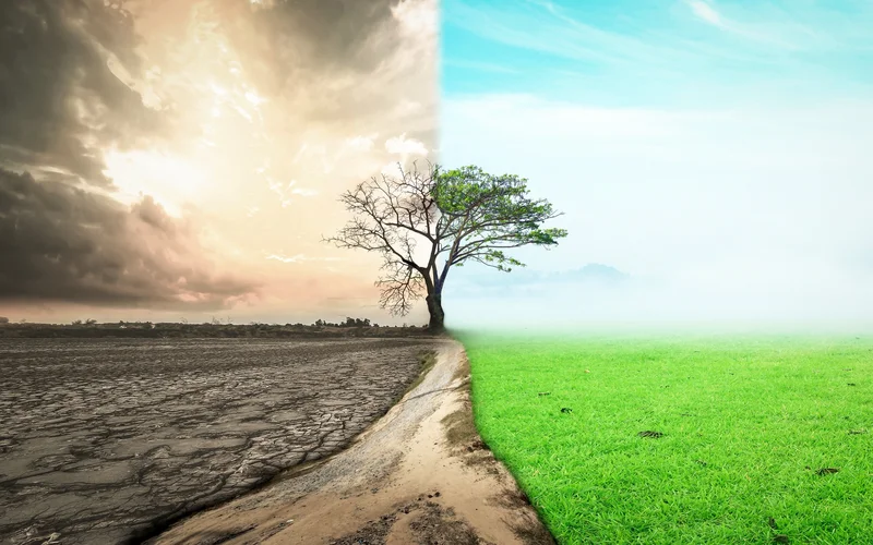 GROWTH VISION OP-ED: We cannot secure our food future without restoring the natural systems that sustain it