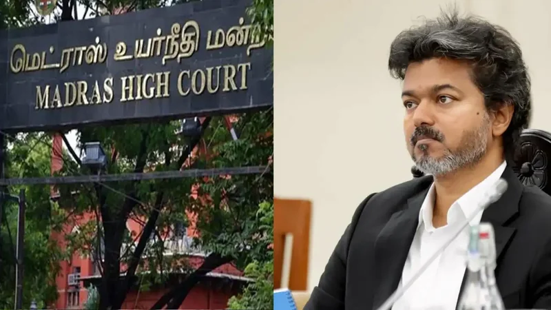 'Could open floodgates': Why HC quashed Vijay govt jobs for kin of Karur stampede victims