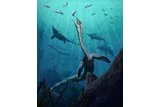 This 245 Million-Year-Old Marine Reptile Still Has Most of Its Digestive Tract &mdash; One of the Oldest Ever Found