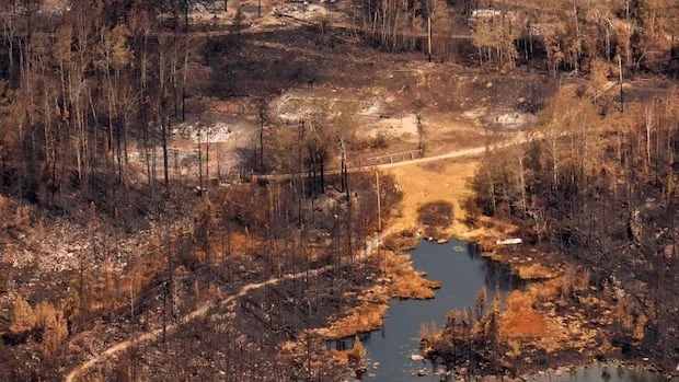 Ontario ministers expected to take questions as fires burn in province's northwest