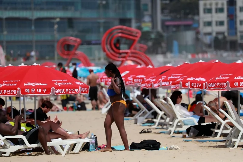 Busan establishes disaster protocol for foreign residents, visitors