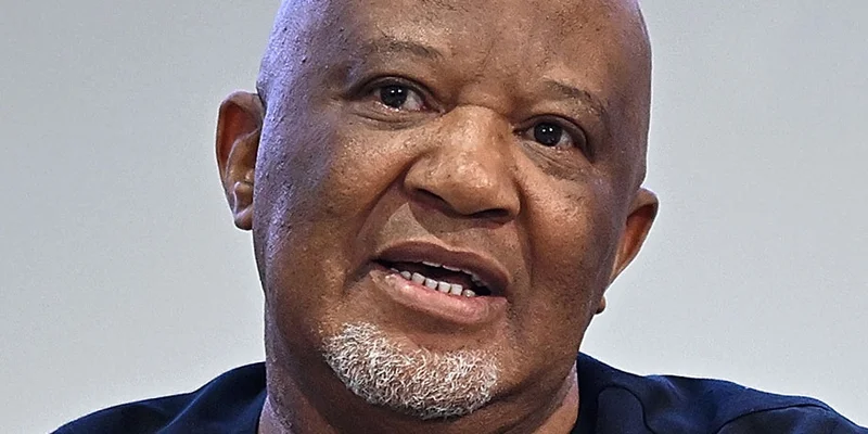 ‘POLITICS OF FEAR’: Mcebisi Jonas: Non-state actors’ hand in Afrophobia reveals deep governance failures