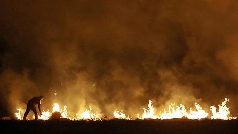 CAQM urges NCR States to deploy drones to monitor stubble burning