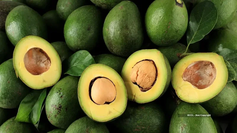 US avocado imports cut chemical use, reduce nitrogen pollution by 10%