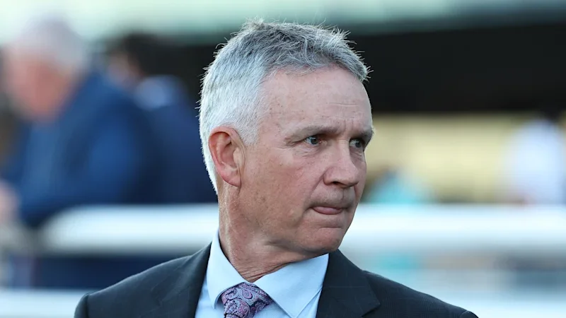 Trainer says gelding will only get better
