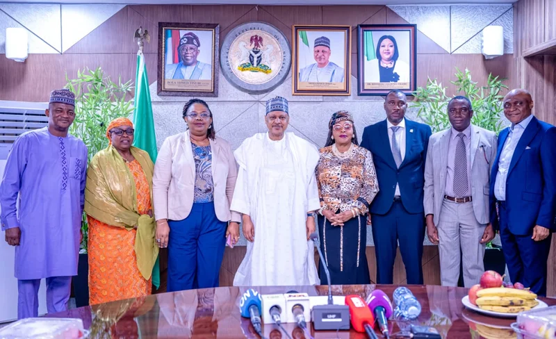 Nigerian govt sets up court to tackle fraud, advertising offences