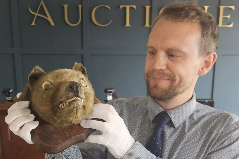 Bug-eyed ‘fox head’ bought for £50 at market uncovered as priceless ‘holy grail’ antique